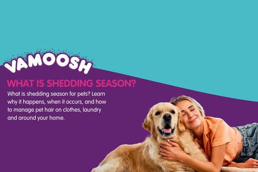 What is Shedding Season for Pets?